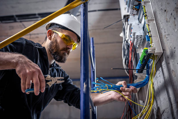 Best Electrician for Home Renovation  in Perrysburg, OH